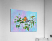 Robin with holly and winterberries acrylic painting Acrylic Print