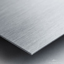 Robin on a perch watercolor painting Metal print