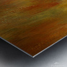 North American Robin portrait Impression metal