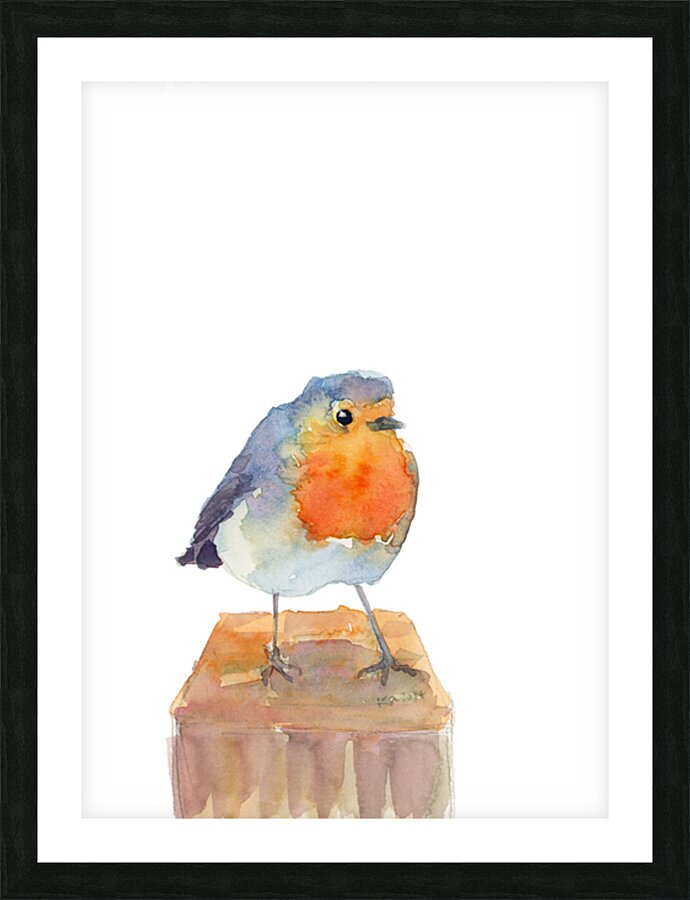 Robin on a perch watercolor painting Picture Frame print