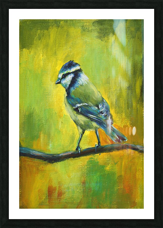 Blue tit bird portrait acrylic painting  Picture Frame print