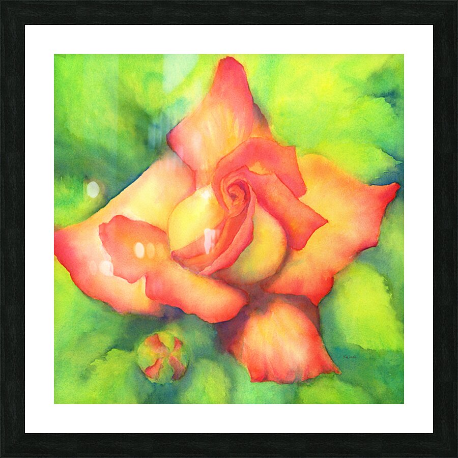 Velvety peachy rose watercolor painting Picture Frame print