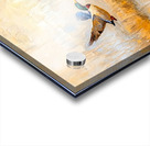 Ducks in Flight Over a Lake Acrylic print