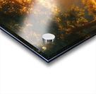 Enchanted Forest Acrylic print