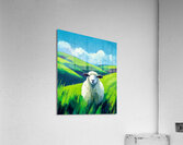Curious Sheep Acrylic Print