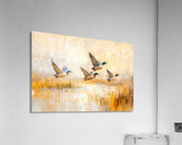 Ducks in Flight Over a Lake Acrylic Print
