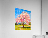 Magnolia Tree in Full Bloom Acrylic Print