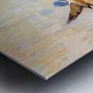 Ducks in Flight Over a Lake Metal print