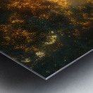 Enchanted Forest Metal print