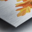 Autumn Oak Leaves on White Metal print