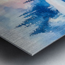 Colour of Winter Metal print