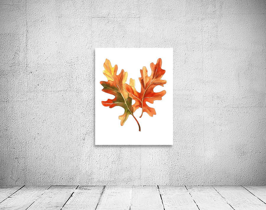 Autumn Oak Leaves on White Wall Preview