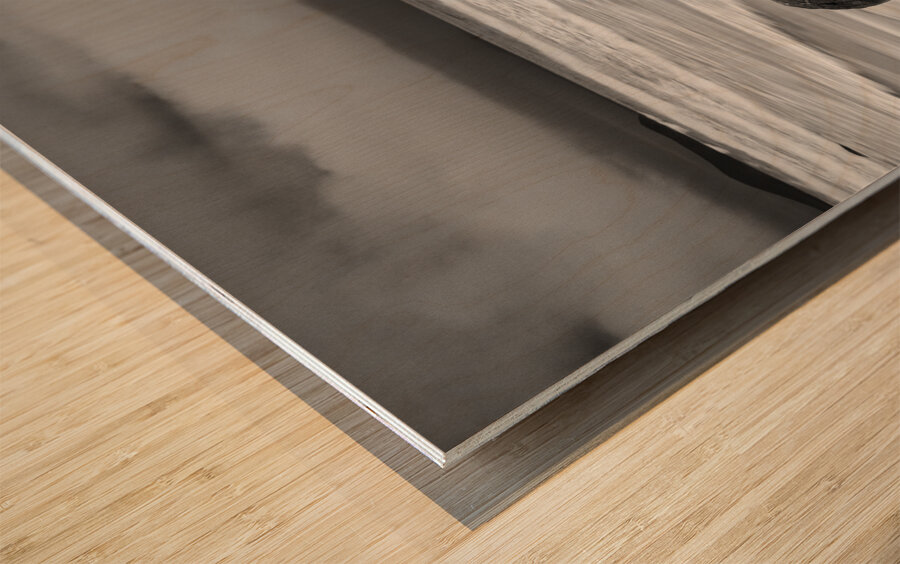 Moeraki Boulders and Waves Wood print