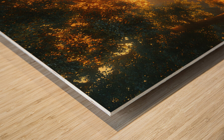 Enchanted Forest Wood print