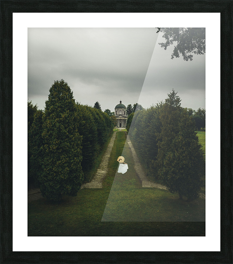  Fine Art print