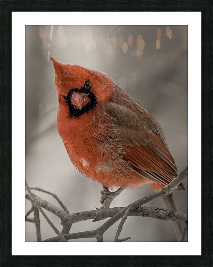 Winter Red Picture Frame Printing