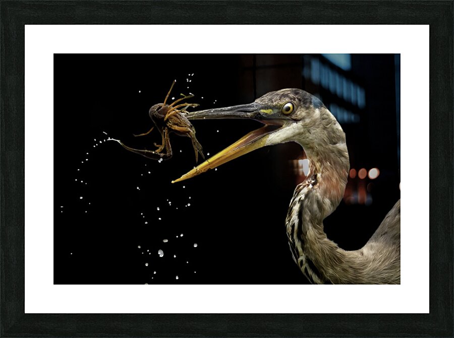 Vital Catch Picture Frame Printing