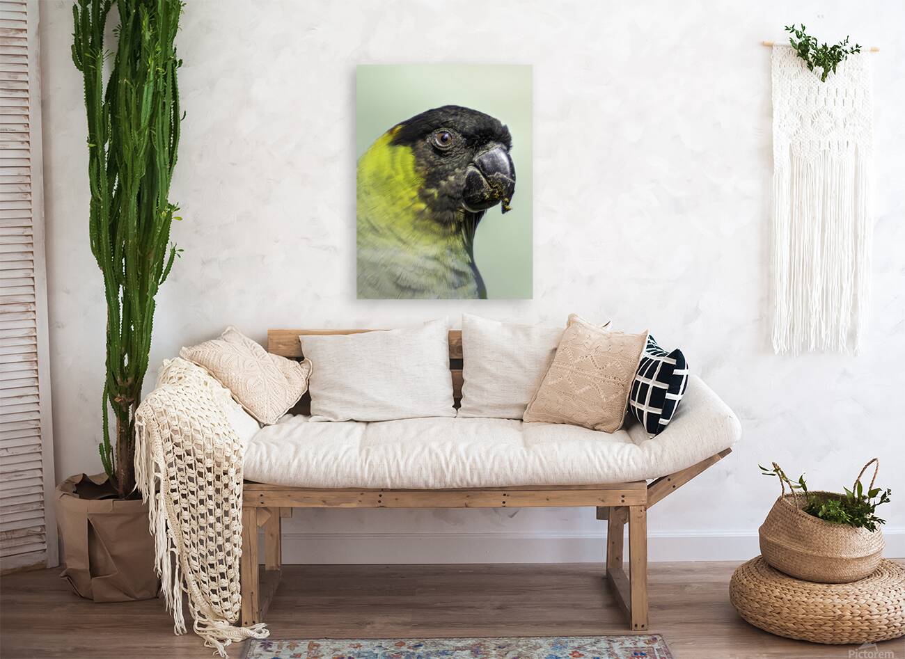 Tropical Guardian Reproduction