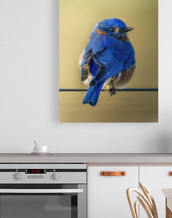 Morning Blue by Alex Spielman