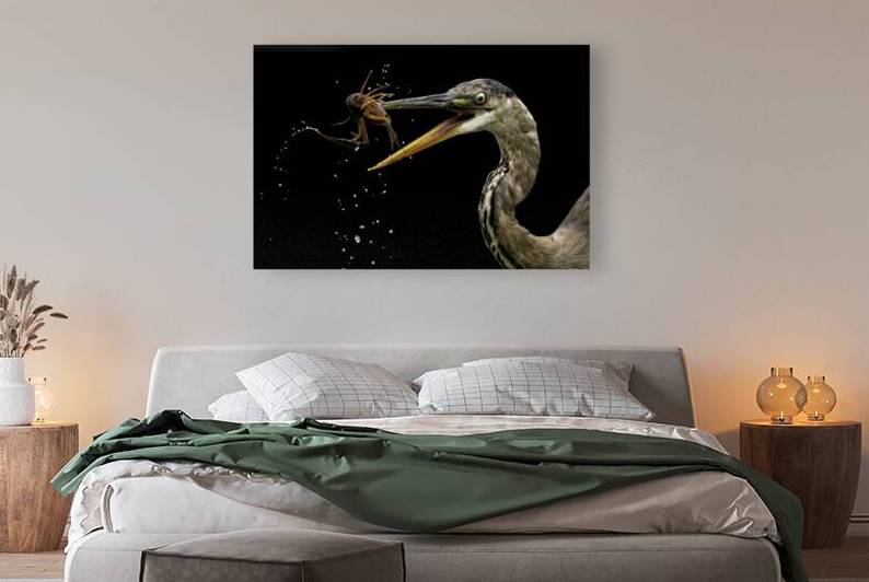 Vital Catch by Alex Spielman