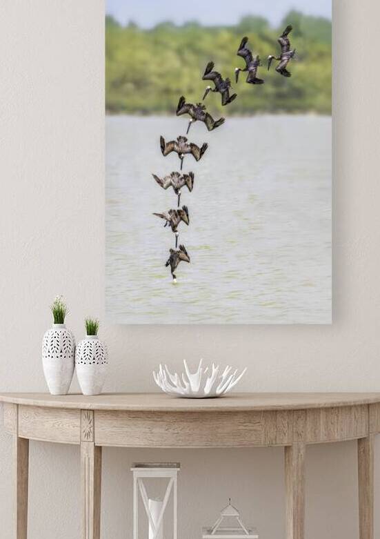 Pelican In Sequence Reproduction