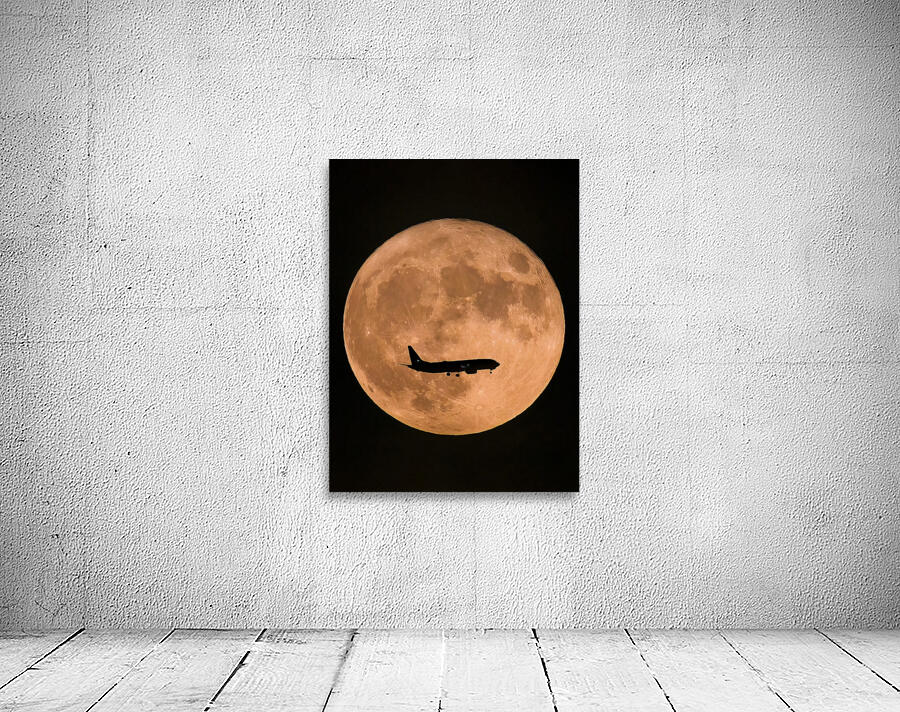 Moon Landing Wall Preview