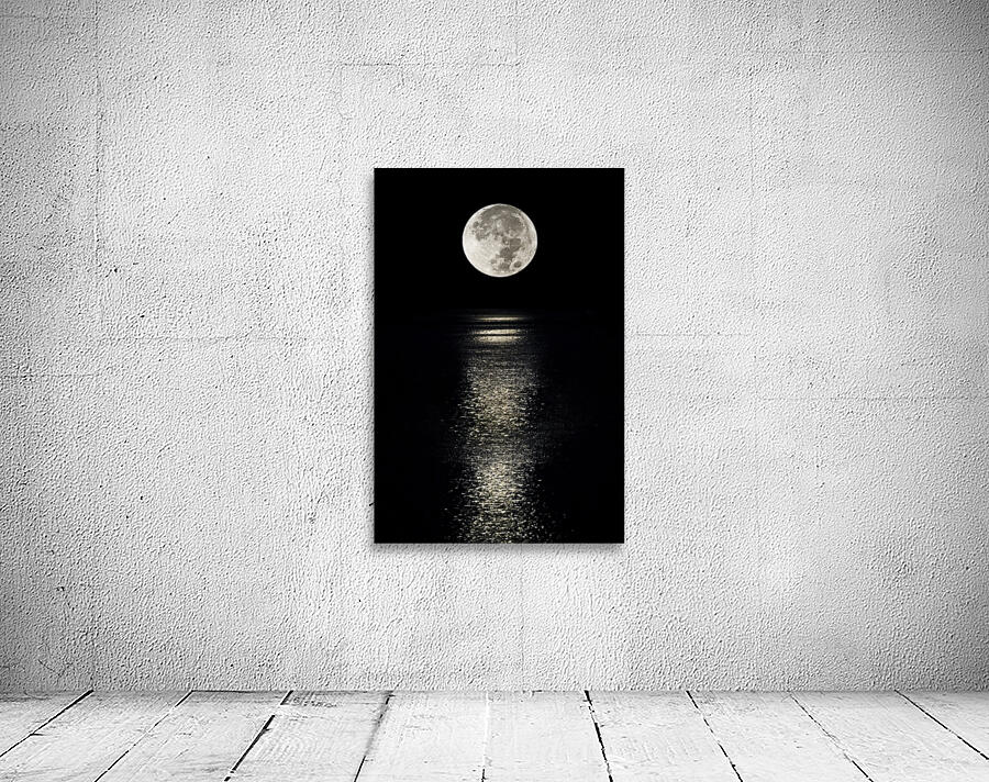 Tidal Moonbeam Wall Preview