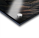 Goose feathers Acrylic print