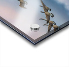Canada geese and sky Acrylic print