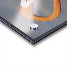 Flamingo heads Acrylic print