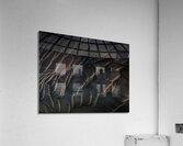 Goose feathers Acrylic Print