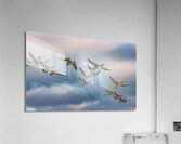 Canada geese and sky Acrylic Print