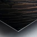 Goose feathers Metal print