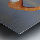 Flamingo heads Metal print