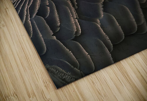 Goose feathers NatureSnaps puzzle