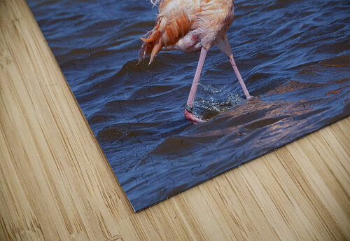 Flamingo chat NatureSnaps puzzle