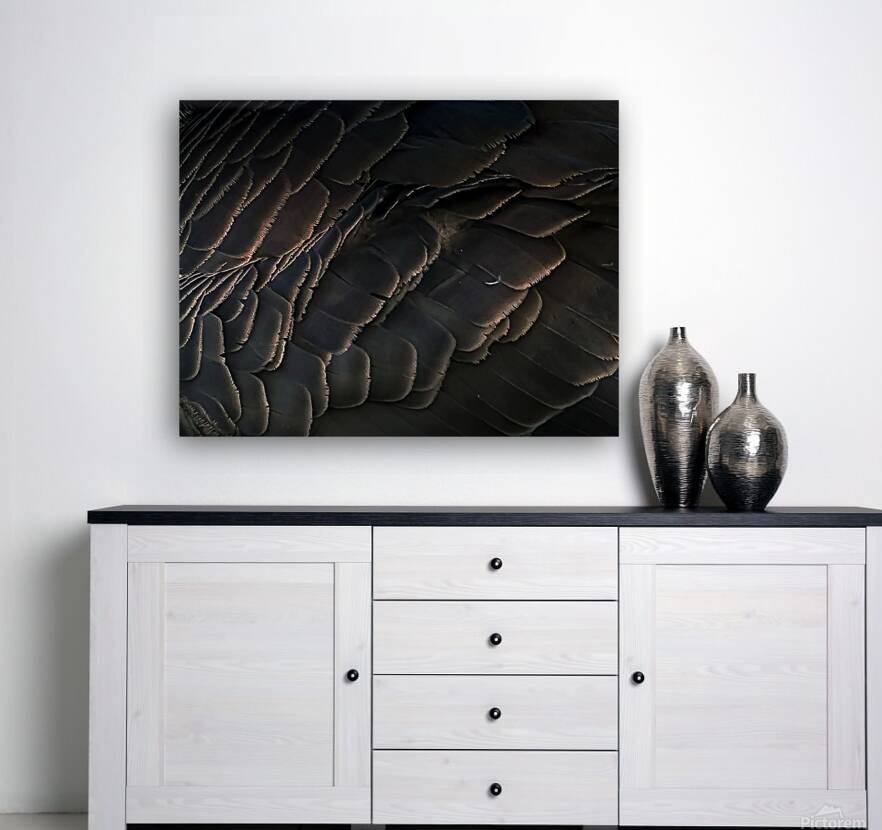 Goose feathers Reproduction