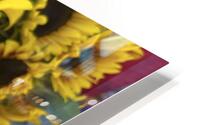 sunflower HD Metal print
