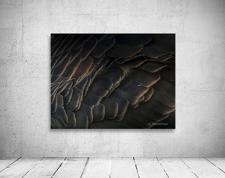 Goose feathers Wall Preview