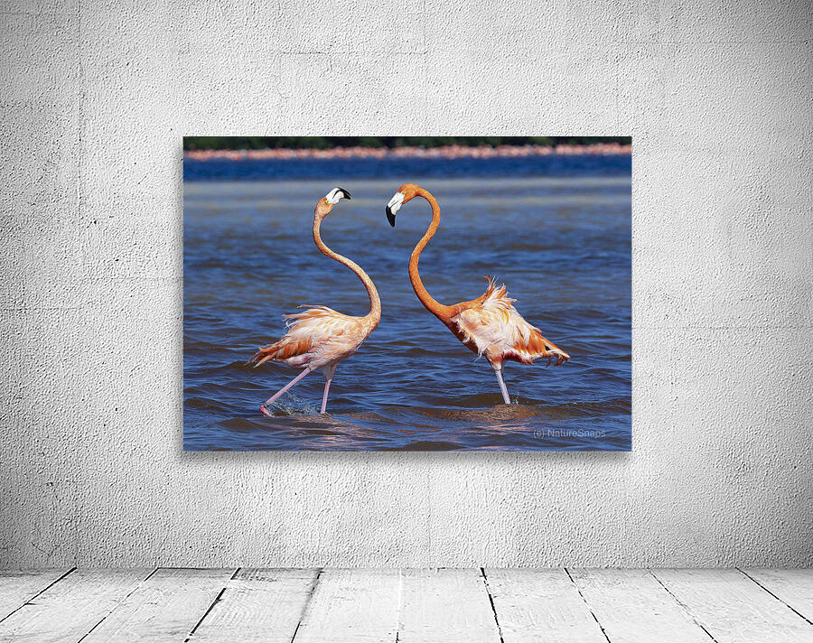 Flamingo chat Wall Preview