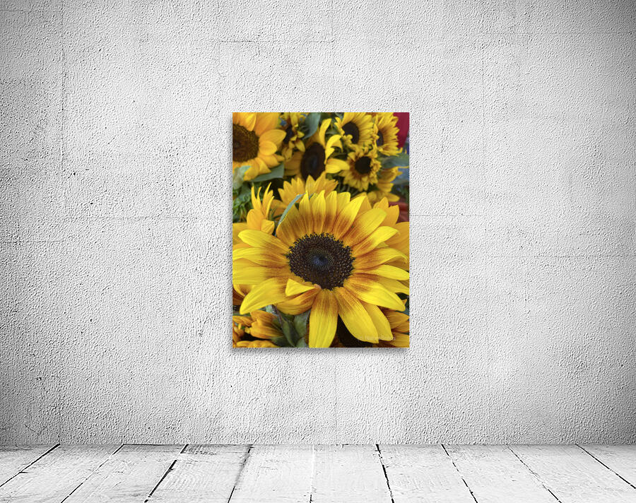 sunflower Wall Preview