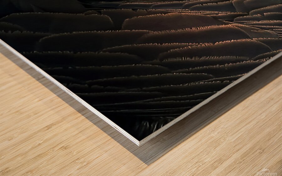 Goose feathers Wood print