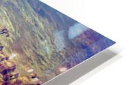 South Rim Az HD Metal print