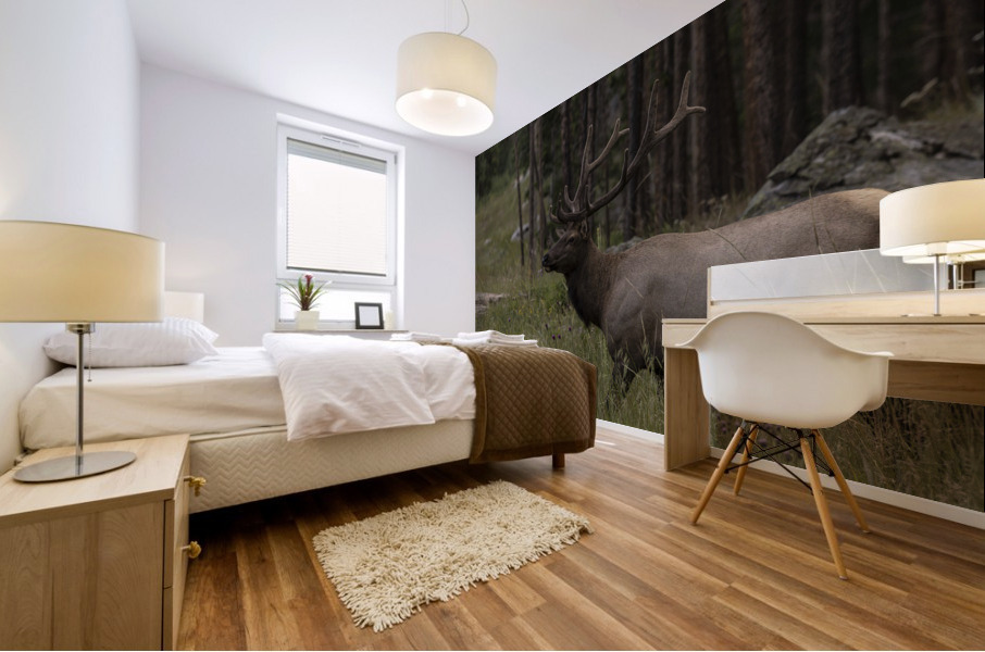 Rocky Mountain Elk Mural print