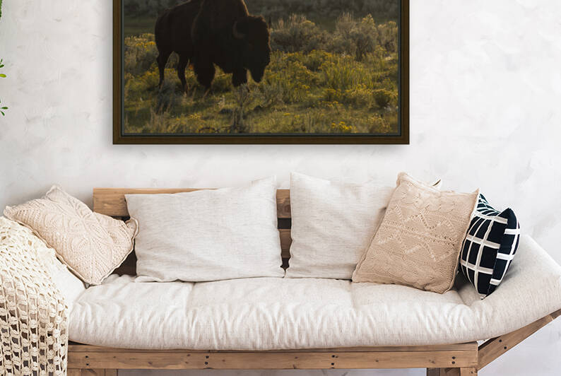 Yellowstone  Bison Reproduction