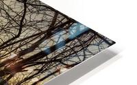 Springburst HD Metal print