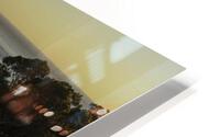 Big Sur Bovines HD Metal print