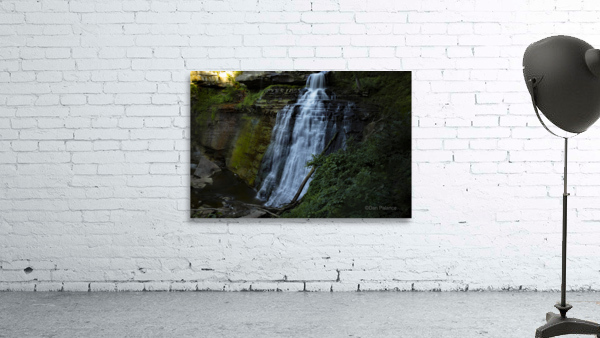 Brandywine Falls Wall Preview