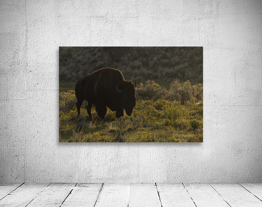 Yellowstone  Bison Wall Preview