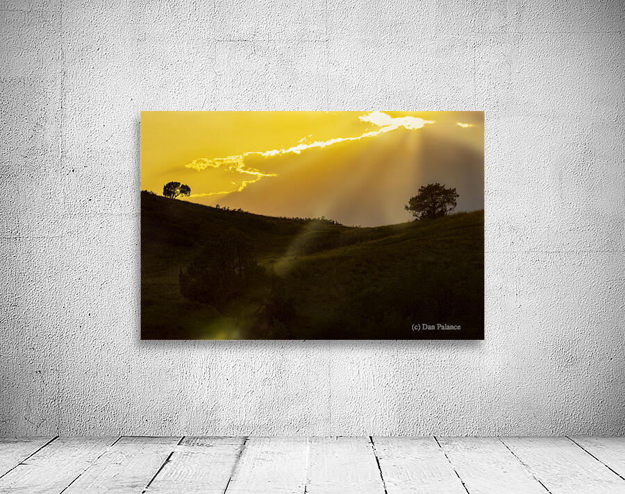 Yellow  Wall Preview